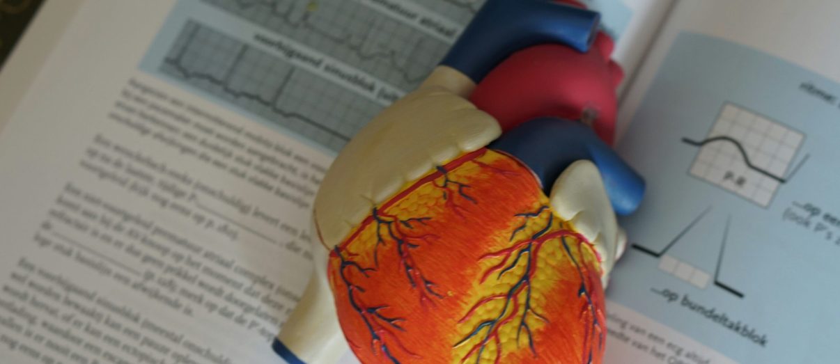 robina-weermeijer-z8_-Fmfz06c-unsplash